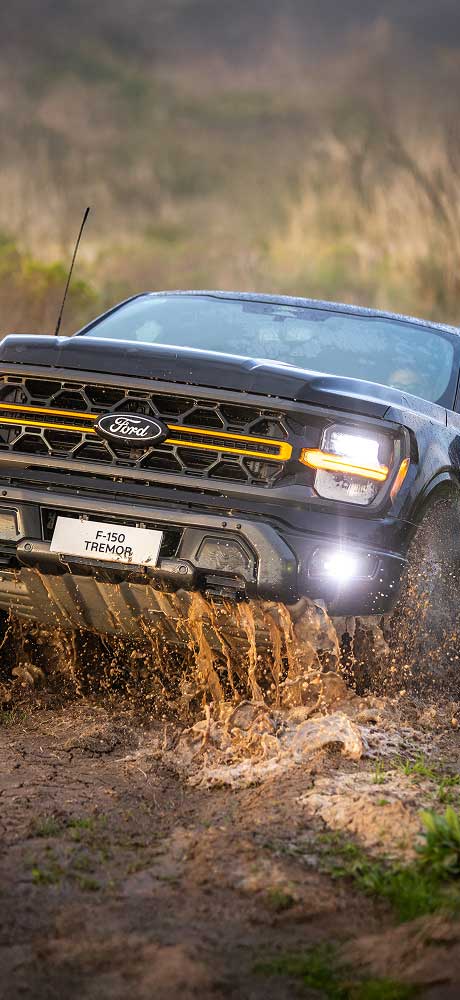 Nova Ford F-150 TREMOR