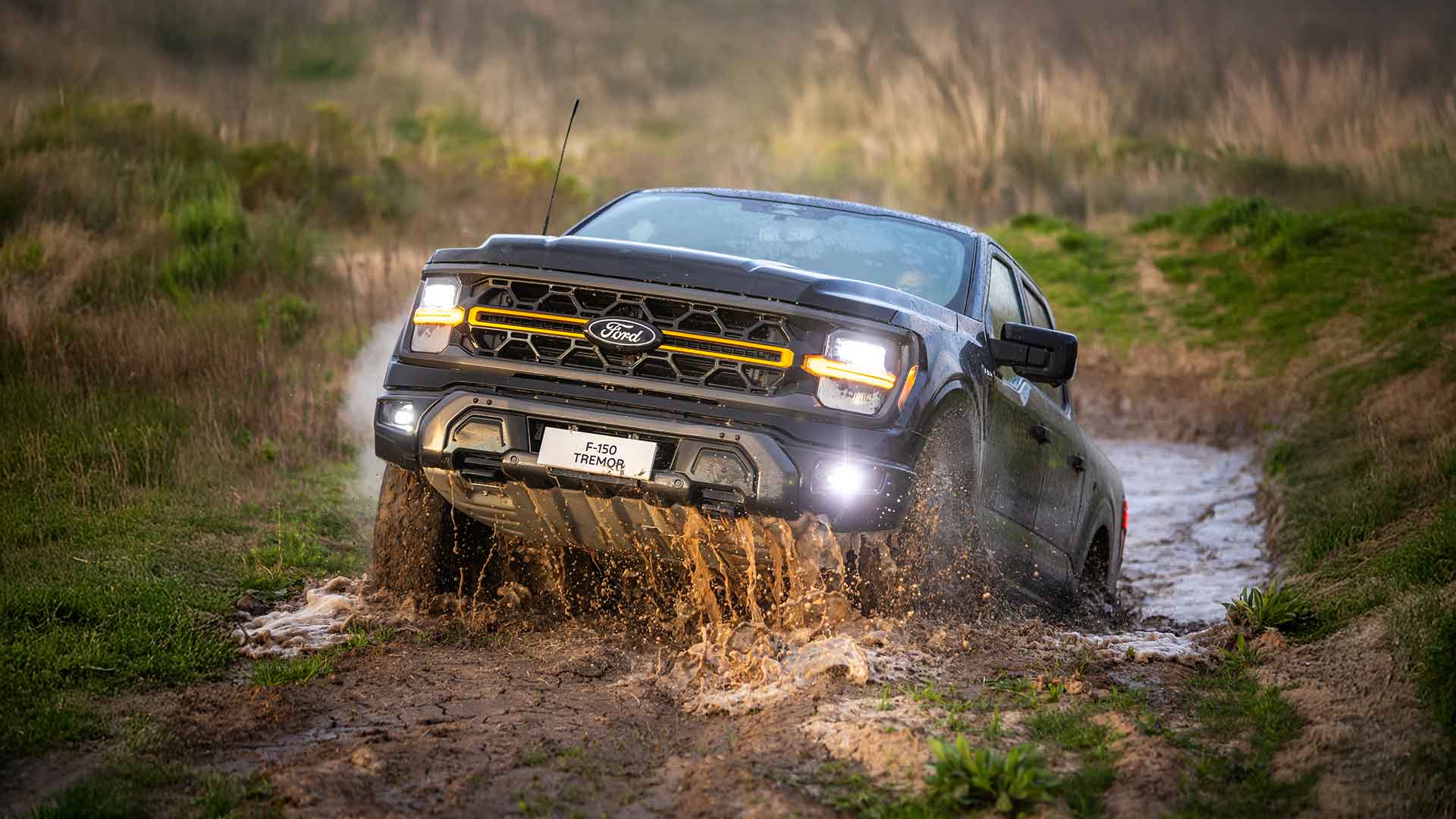 Nova Ford F-150 TREMOR