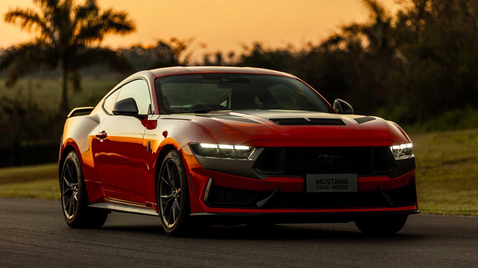 Mustang Dark Horse