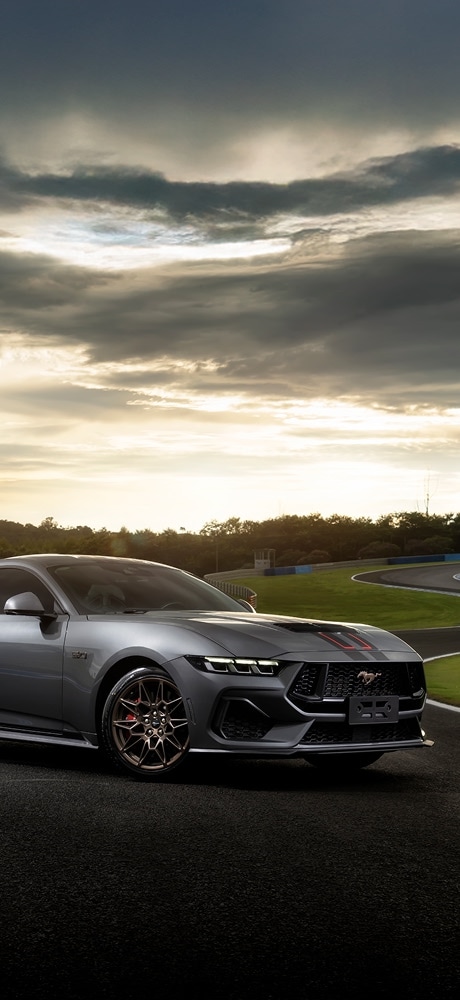 Mustang Manual
