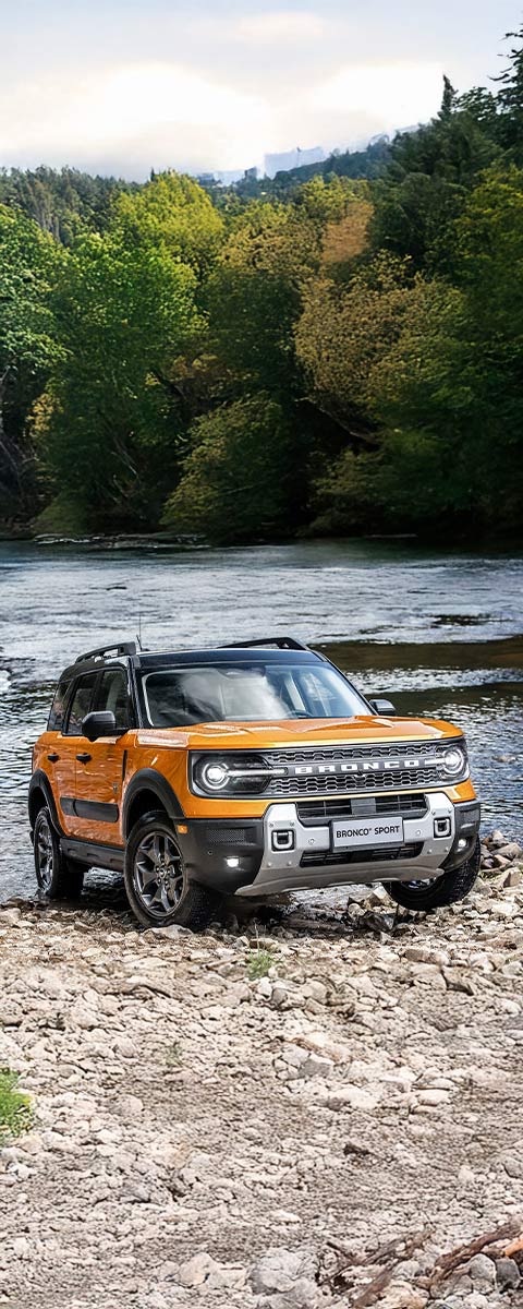 Nova Ford F-150 TREMOR