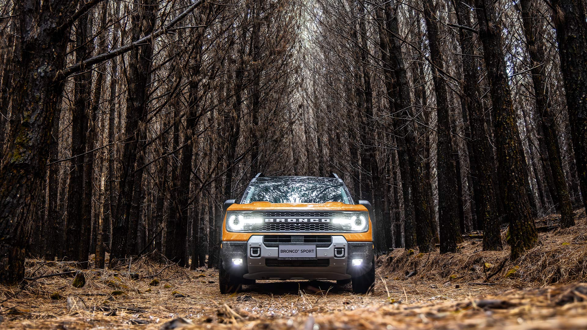 Novo Bronco Sport