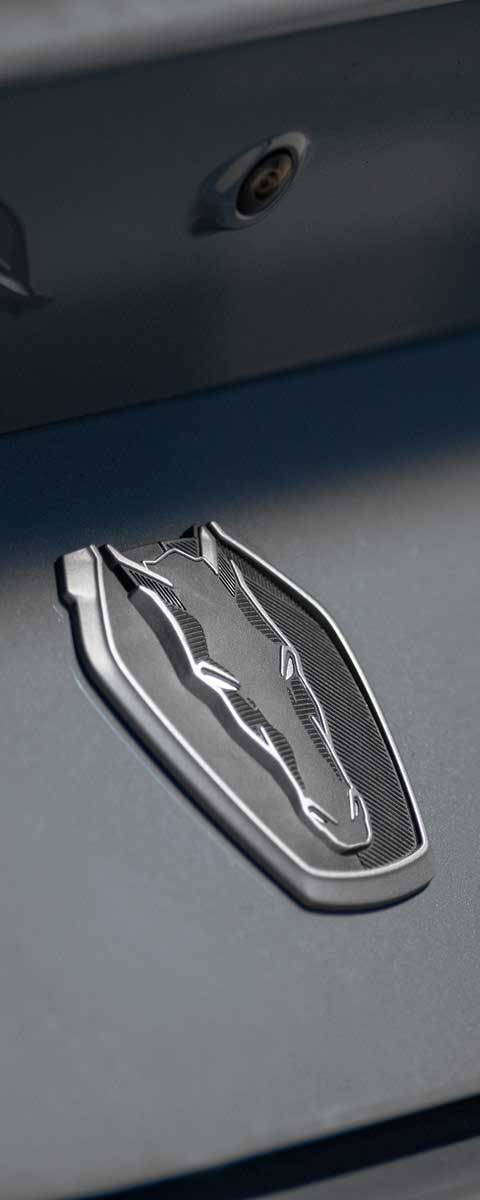 Mustang Dark Horse