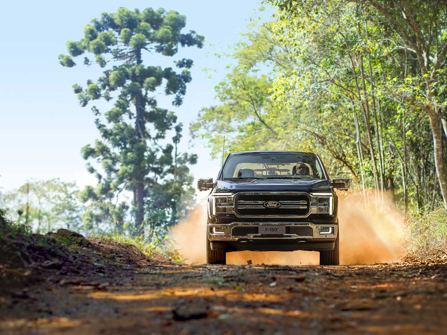 Performance off road com tração 4x4 e bloqueio de diferencial