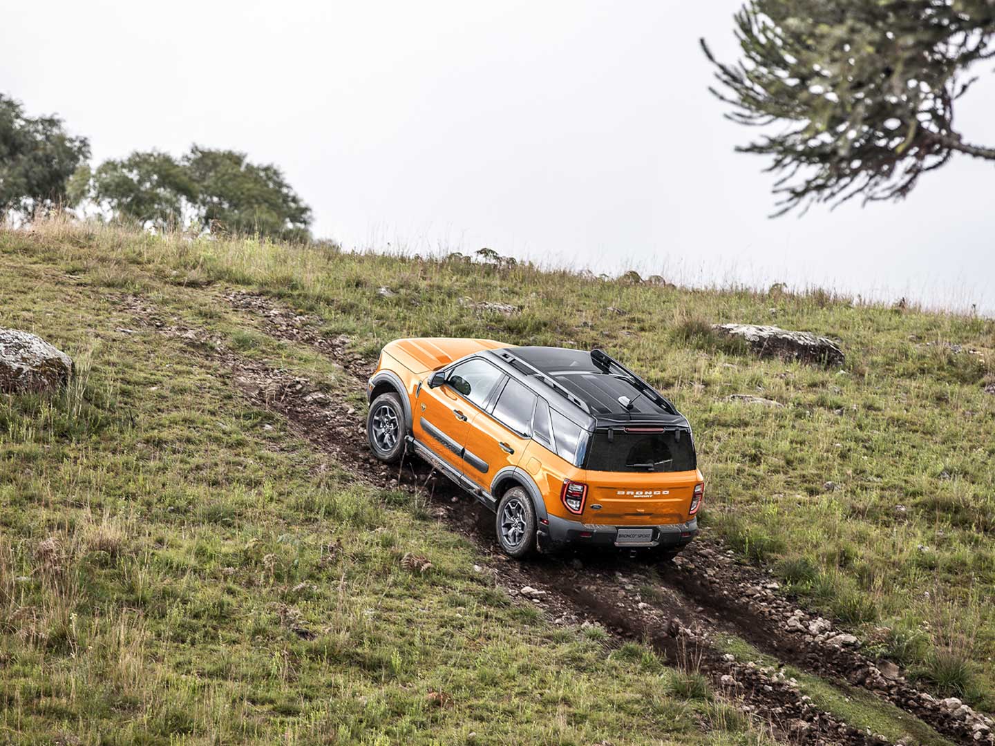 Tração 4x4 com Diferencial Traseiro Blocante
